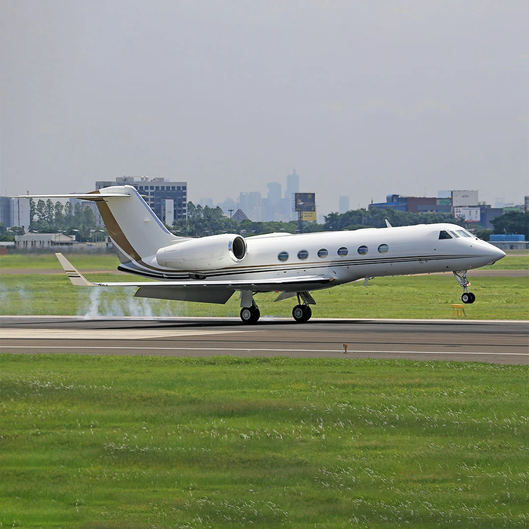 Pearl of the Skies Image
